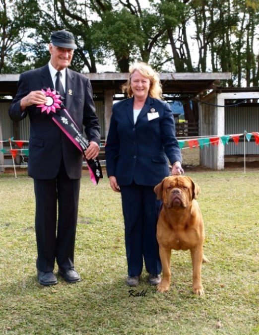 Best in Show. Judge - Mr K. Cronchey.